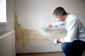 Best HVAC Mold Inspection and Cleaning in Saranac Lake, NY